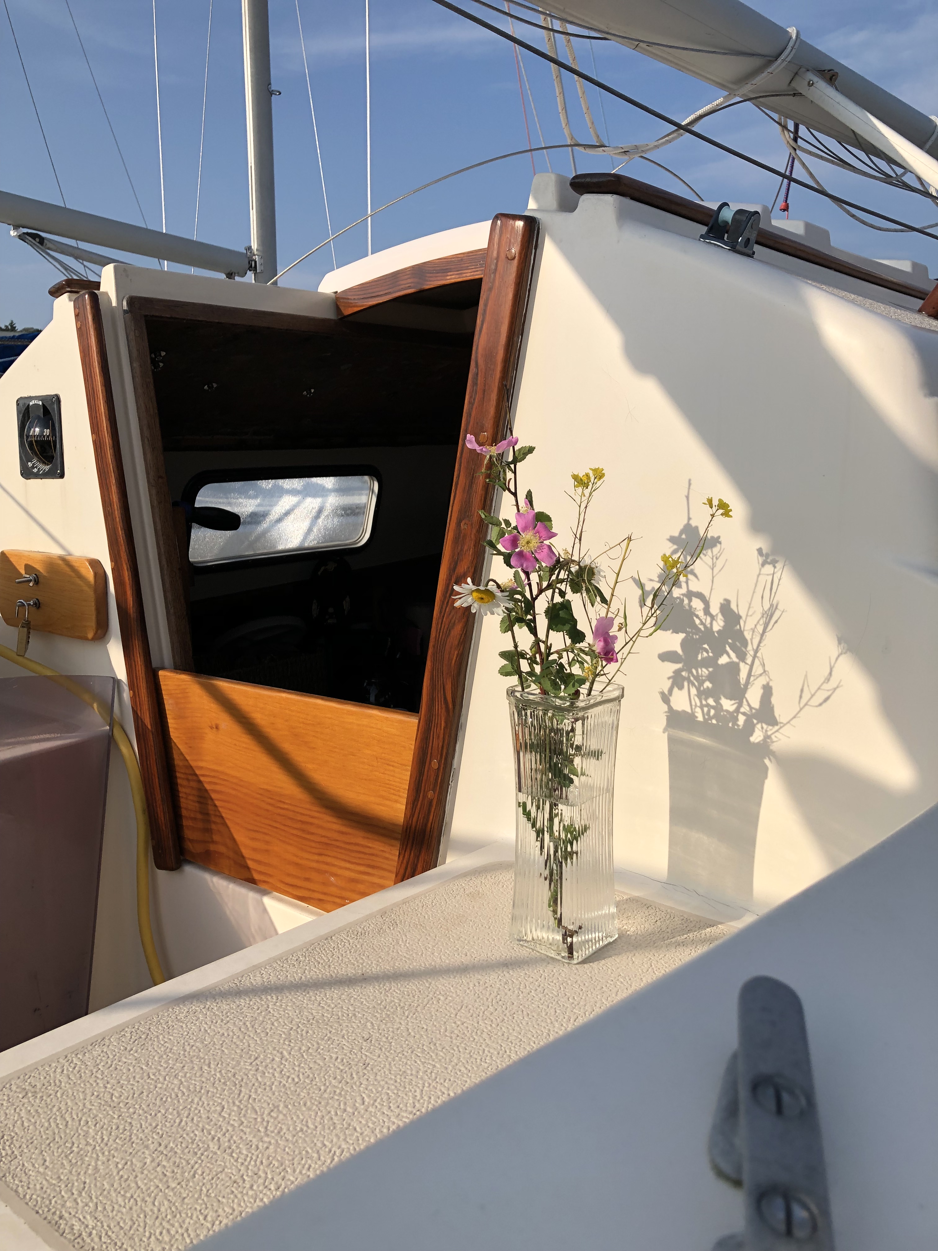 after-the-rain.org / Flowers on a Flicka sailboat