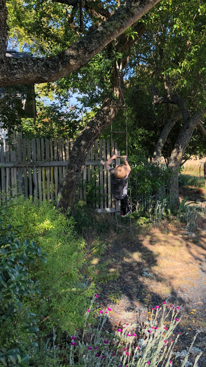 after-the-rain,org / Boy swinging on rope ladder