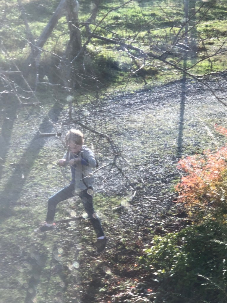after-the-rain.org / Boy on swing
