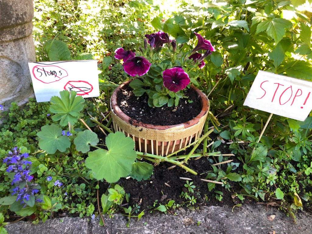 after-the-rain.org / No slugs allowed!