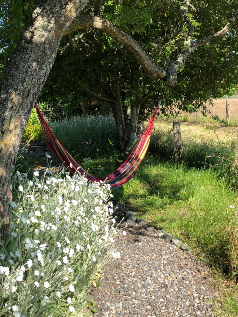 after-the-rain.org / Empty hammock