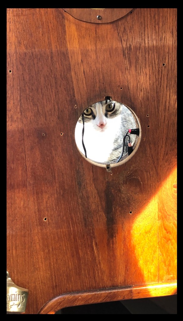 after-the-rain.org / Peekaboo